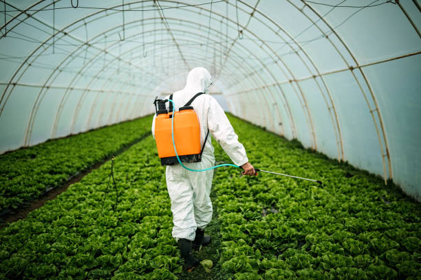 Best Pest Prevention Services  in Spanish Springs, NV