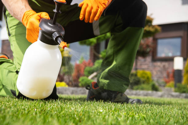 Best Local Pest Control Services  in Spanish Springs, NV