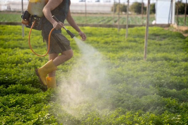 Best Pest Control for Businesses  in Spanish Springs, NV